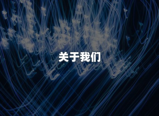 关于我们